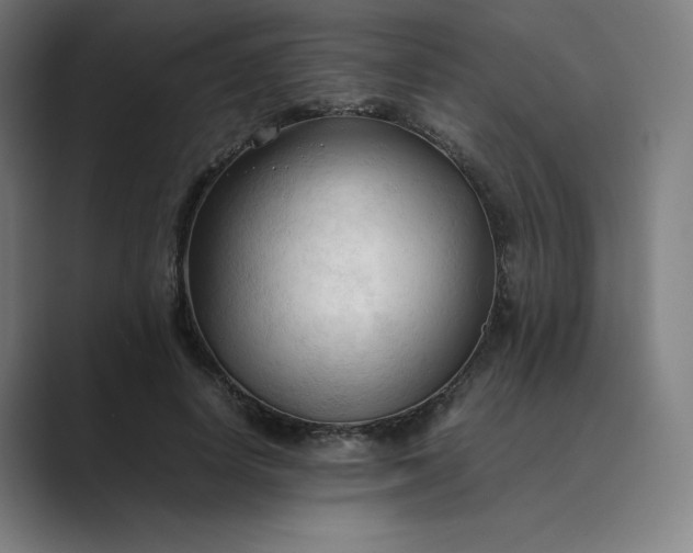 X0000089350642200706291022