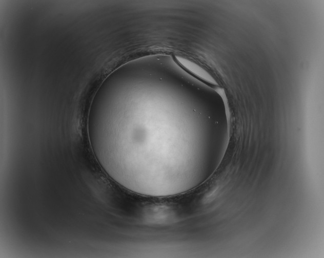 X0000089350643200706291022