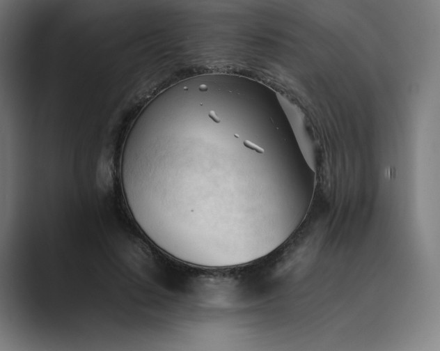 X0000089350644200706291022