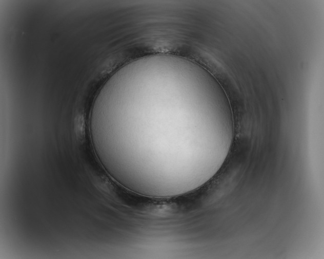 X0000089350646200706291022