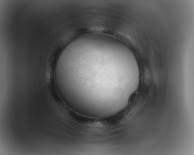X0000089350647200706291022
