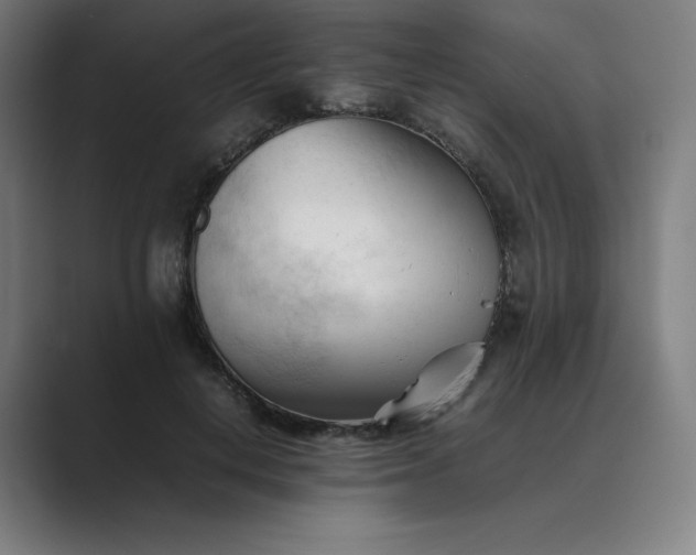 X0000089350648200706291022