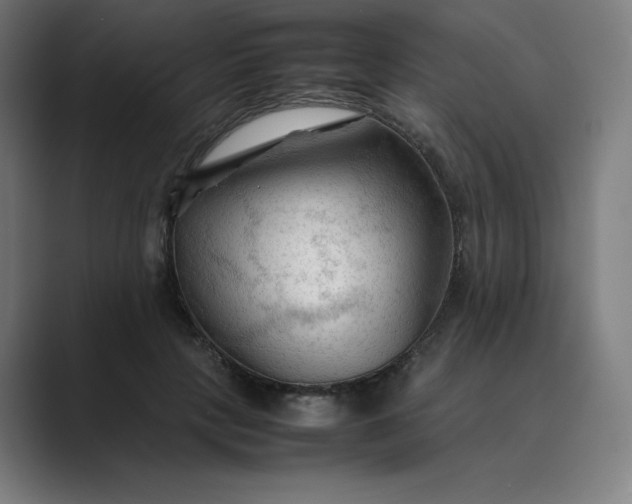 X0000089350649200706291022