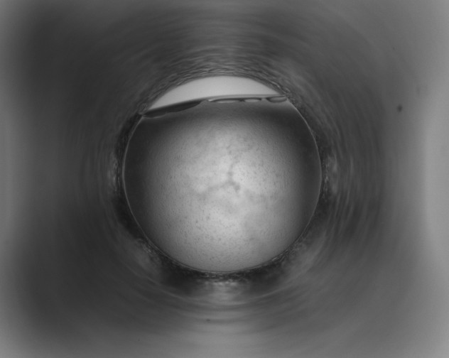 X0000089350650200706291022