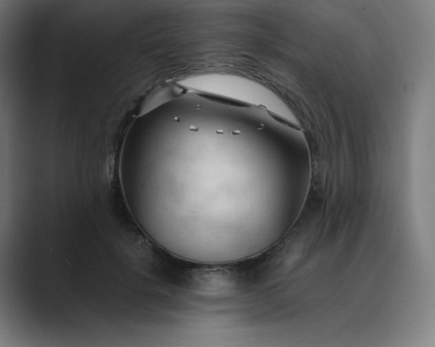 X0000089350652200706291022