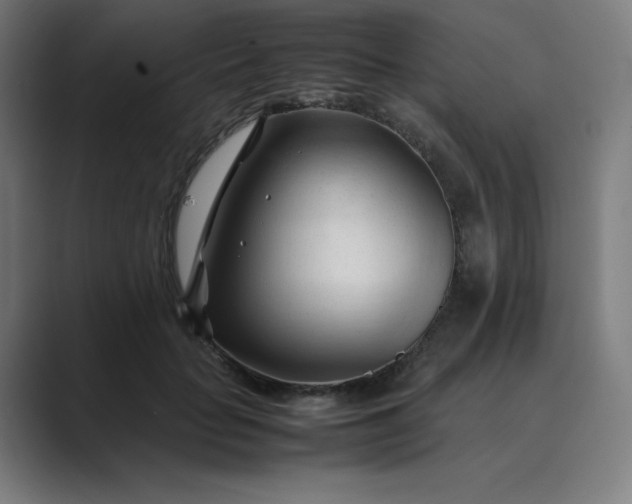 X0000089350653200706291022