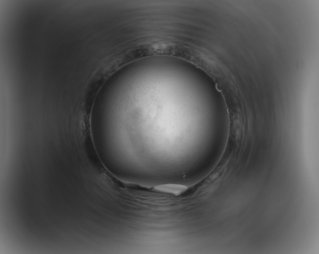 X0000089350654200706291022