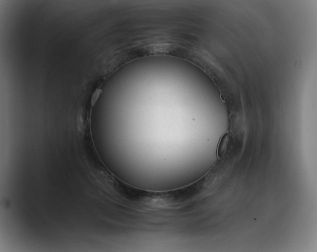 X0000089350655200706291022
