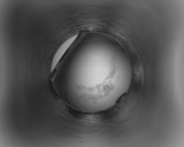 X0000089350657200706291022