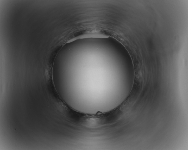 X0000089350658200706291022