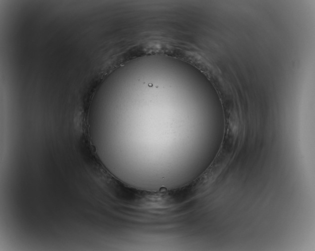 X0000089350659200706291022