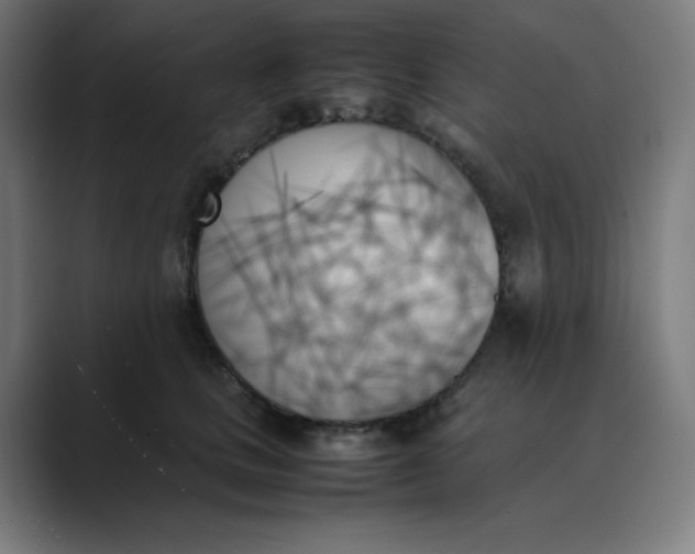 X0000089350661200706291022