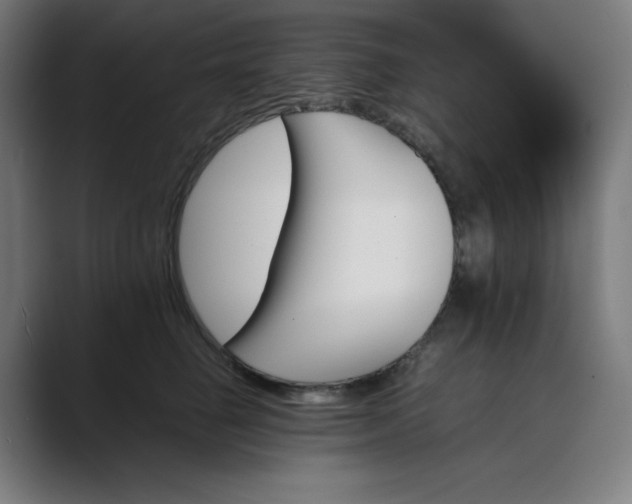 X0000089350662200706291022