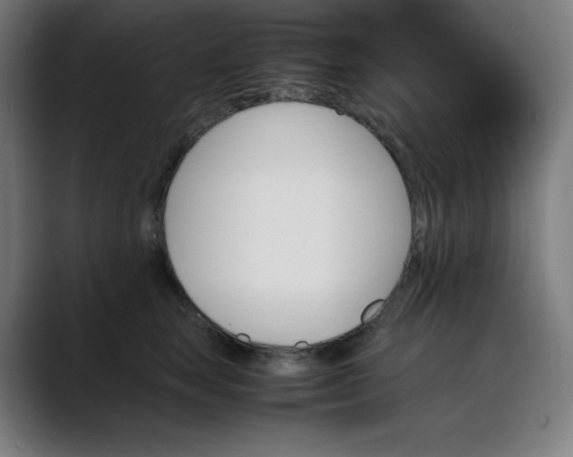 X0000089350663200706291022