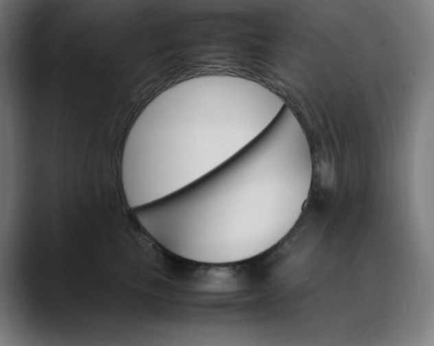 X0000089350665200706291022