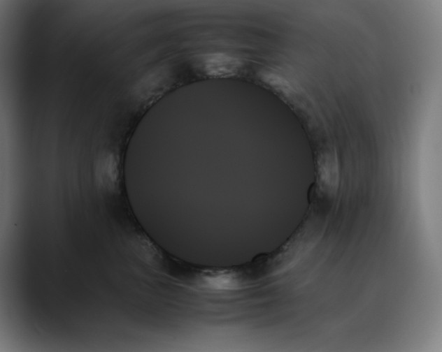 X0000089350667200706291022