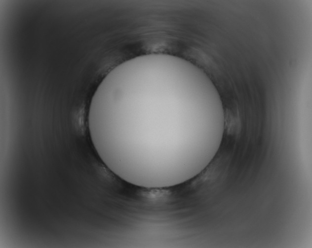 X0000089350670200706291022