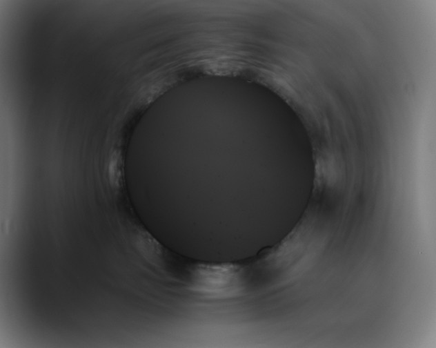 X0000089350671200706291022