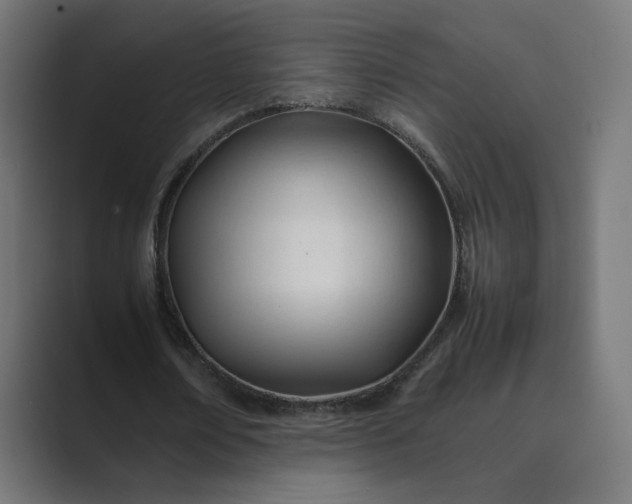 X0000089350674200706291022