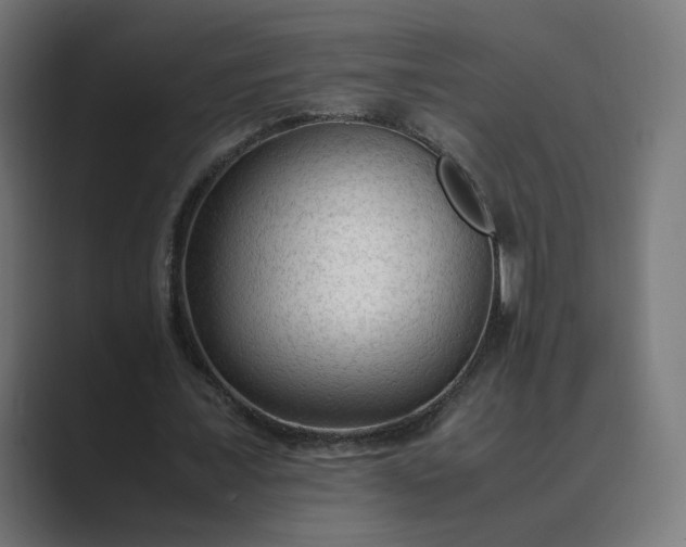 X0000089350675200706291022
