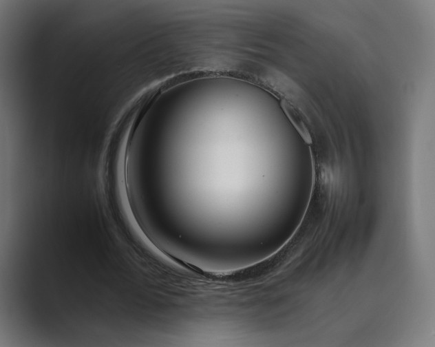 X0000089350676200706291022