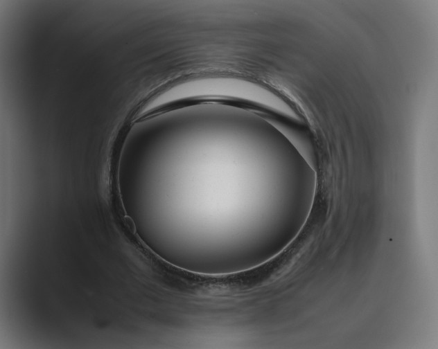 X0000089350677200706291022