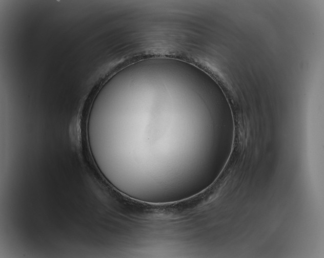 X0000089350678200706291022
