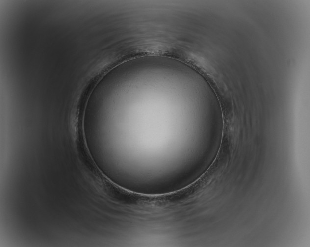 X0000089350679200706291022