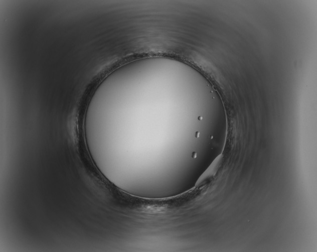 X0000089350680200706291022