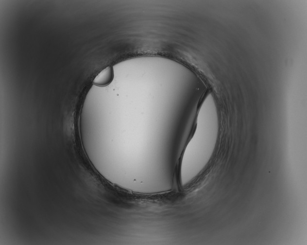 X0000089350681200706291022
