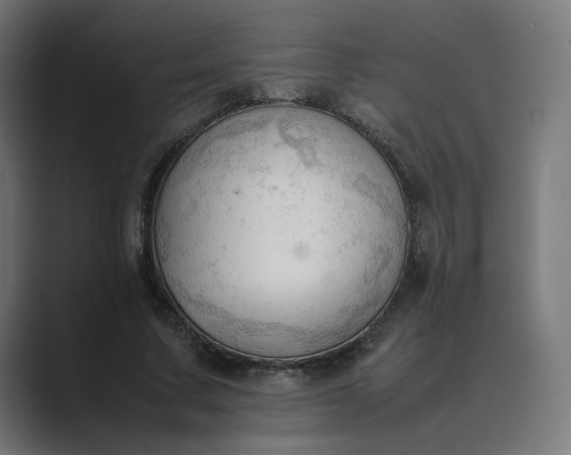 X0000089350683200706291022