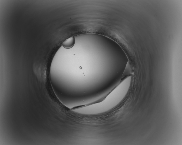 X0000089350685200706291022