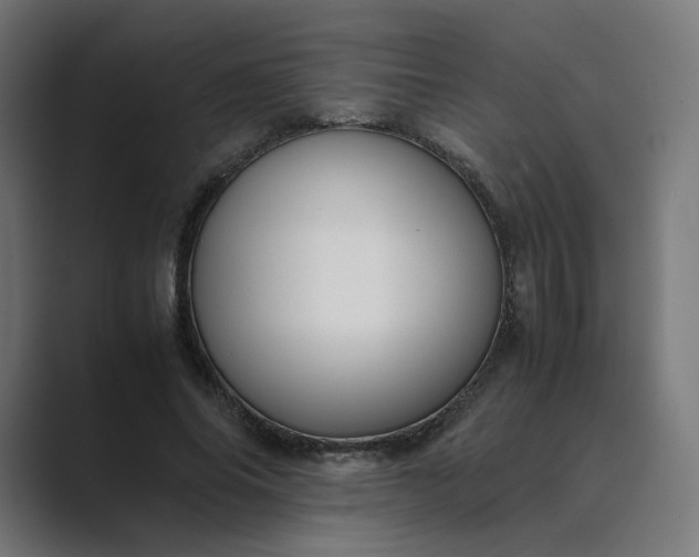 X0000089350686200706291022