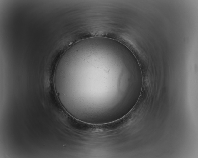 X0000089350687200706291021