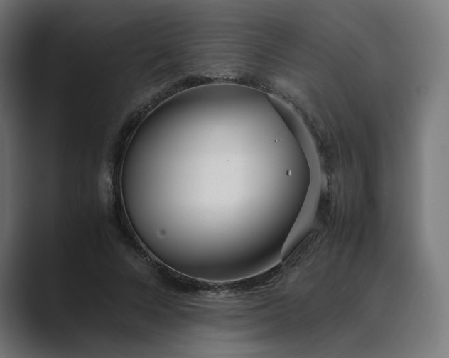 X0000089350688200706291021