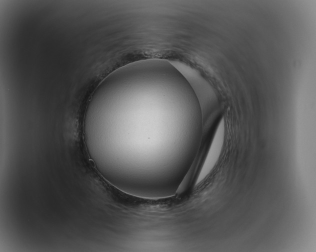X0000089350689200706291021