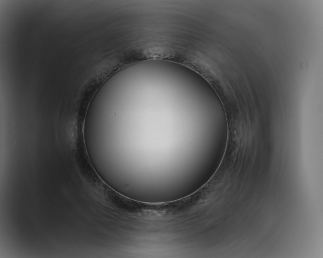 X0000089350690200706291021