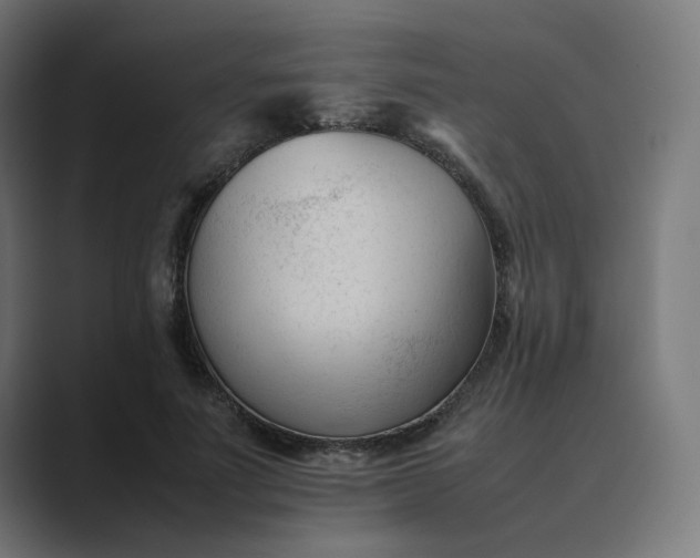X0000089350691200706291021