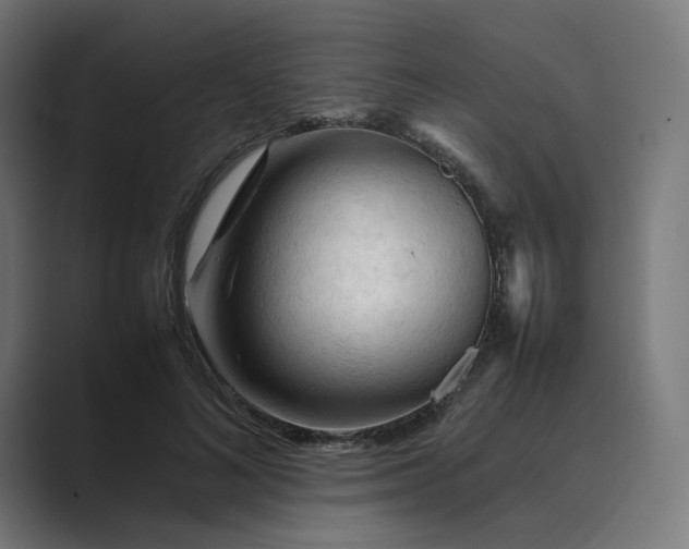 X0000089350692200706291021
