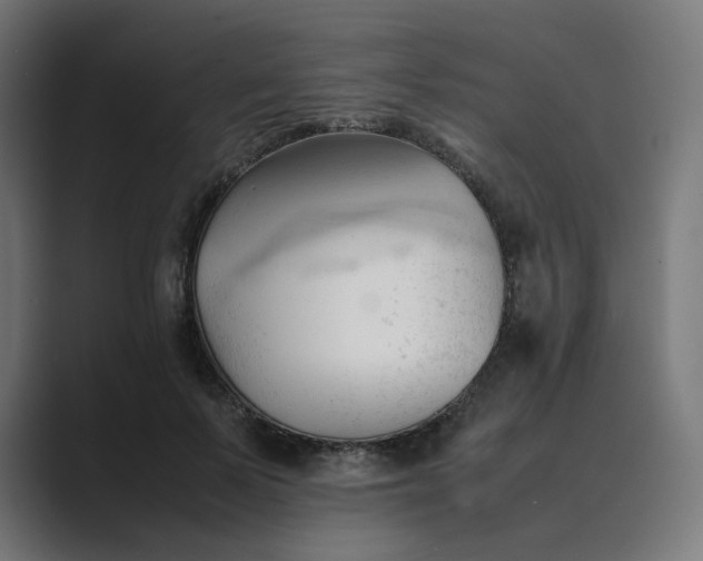 X0000089350695200706291021
