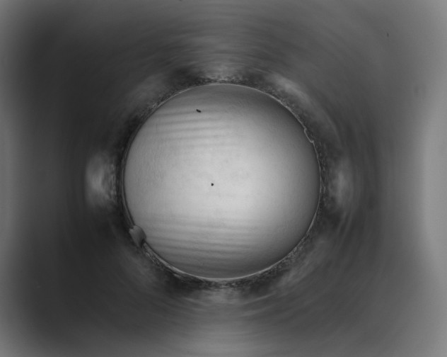 X0000089350696200706291021