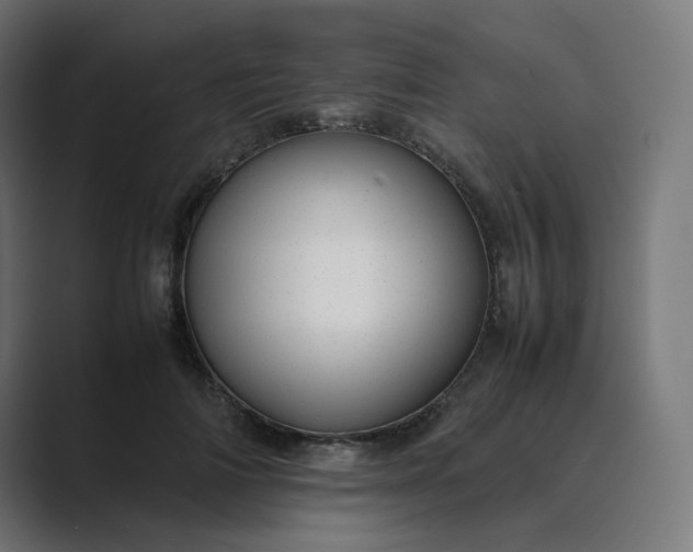 X0000089350698200706291021