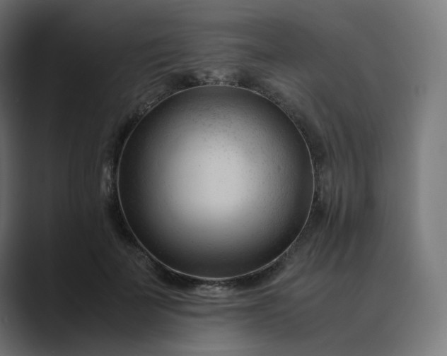 X0000089350699200706291021