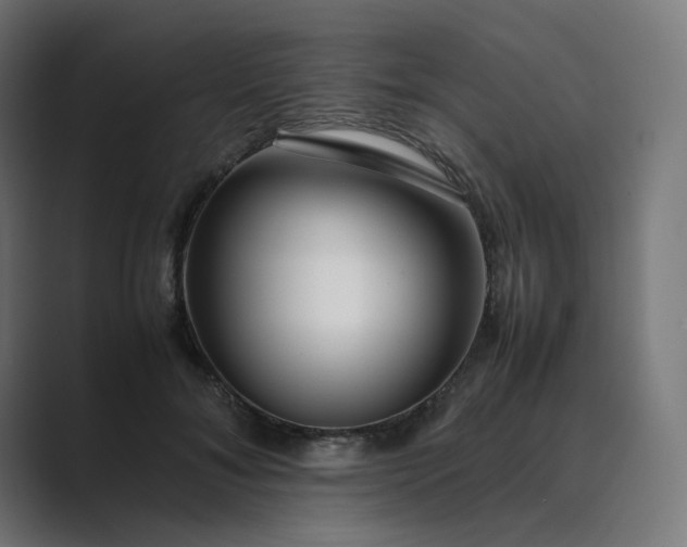 X0000089350700200706291021