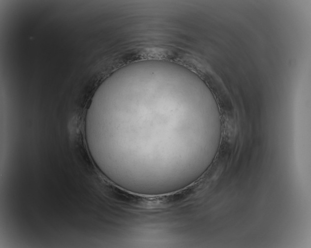 X0000089350701200706291021
