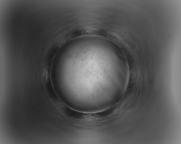 X0000089350703200706291021