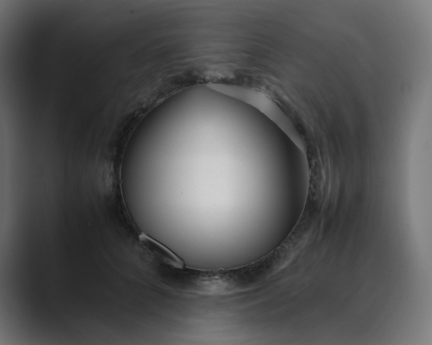 X0000089350704200706291021