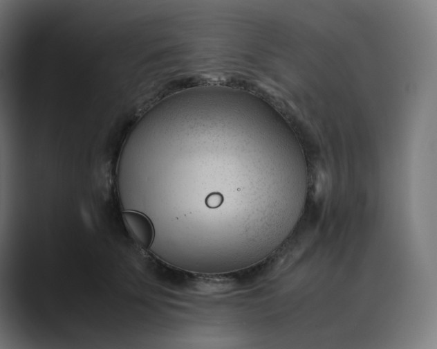 X0000089350707200706291021