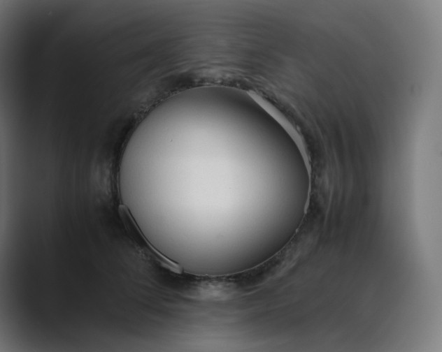 X0000089350708200706291021