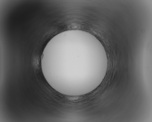 X0000089350709200706291021